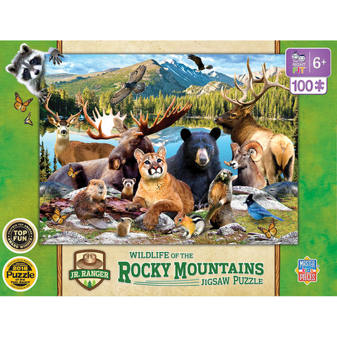 100 piece puzzle 