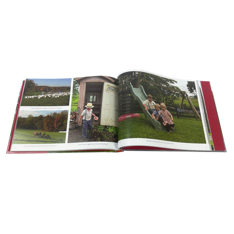 pages from Rural Scenes Vol. 4 book