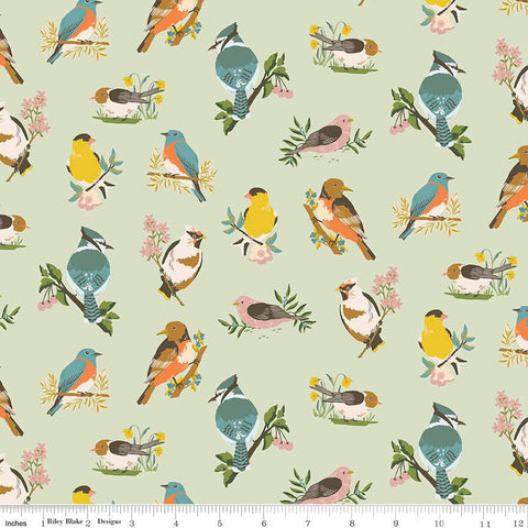 sage, Winged Medley Collection Birds Cotton Fabric C15911