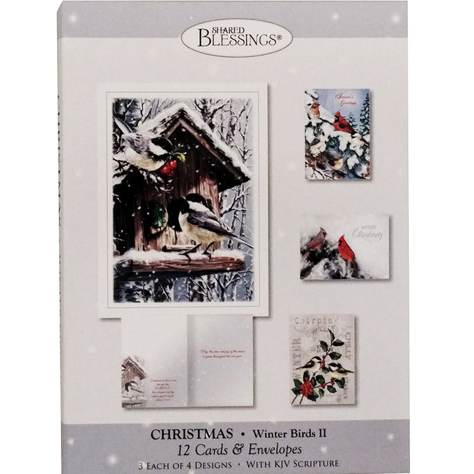 Winter Birds II Christmas Boxed Cards SBCA22319