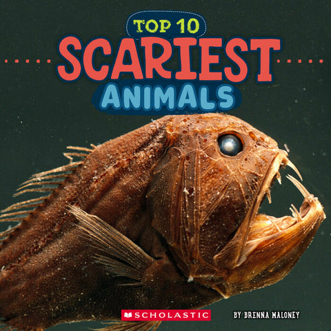 Wild World: Top 10 Scariest Animals 9781546136095
