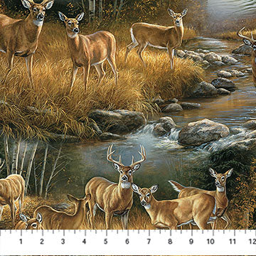 scenic, Birchwood Collection Cotton Fabric 291