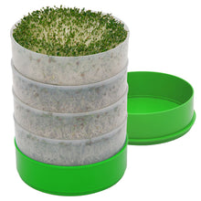 Seed sprouter kit