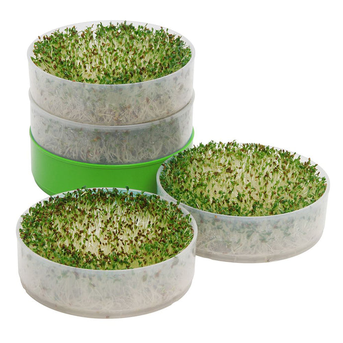 Seed sprouter kit