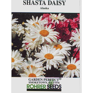 Shasta Daisy seed pack