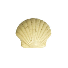 Driftwood Sea Shell Soap