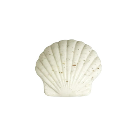 Island Blossom Sea Shell Soap