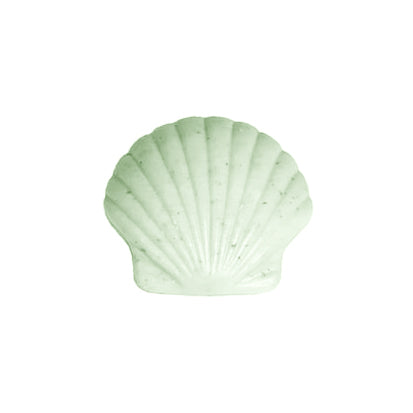 Sea Salt Sea Shell Soap