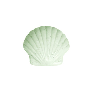 Sea Salt Sea Shell Soap