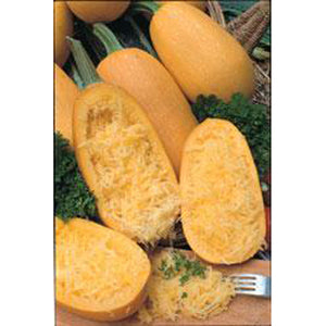 Spaghetti Squash 