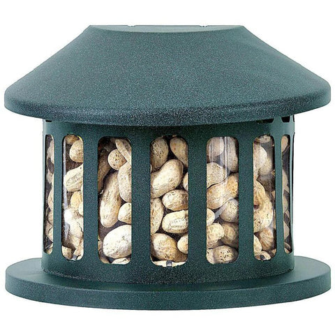 Squirrel Diner bird feeder