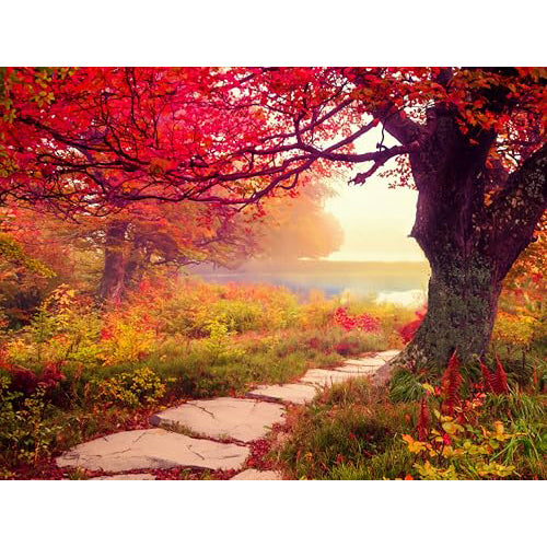 Stone Path 1000-Piece Puzzle 33-11259