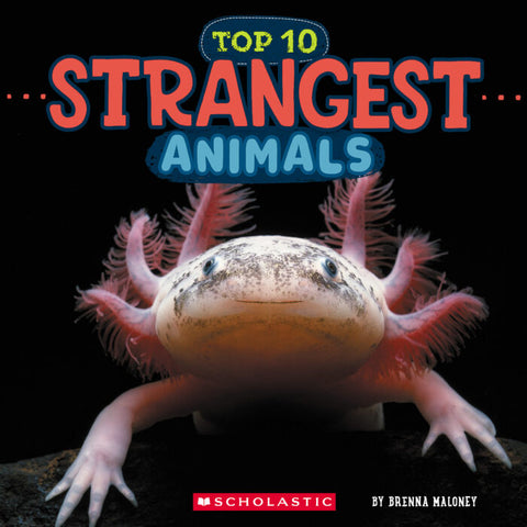 Wild Animals: Top 10 Strangest Animals 9781546136064