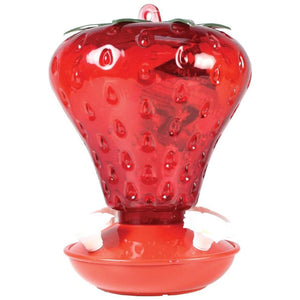 Strawberry Hummingbird feeder