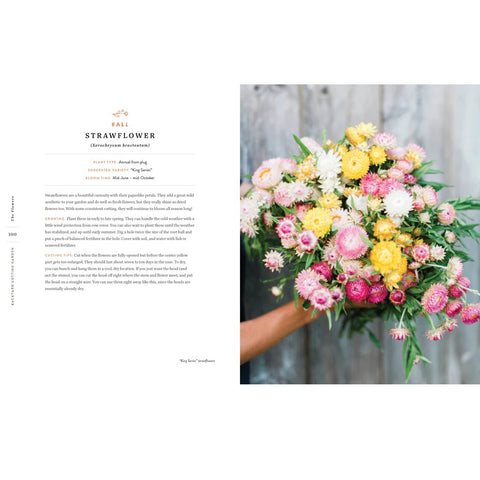 Strawflower pages from Backyard Cutting Garden by Trisha Snyder