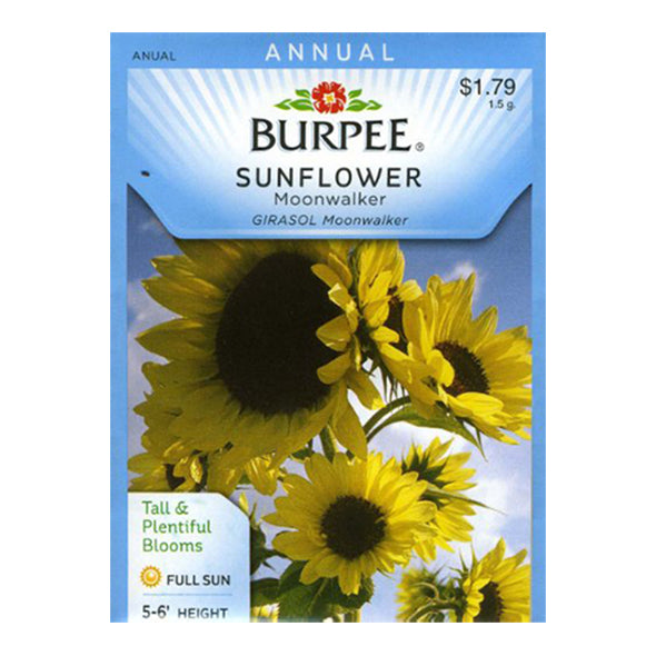 Burpee Moonwalker Sunflower Seed Pack 38638 – Good's Store Online