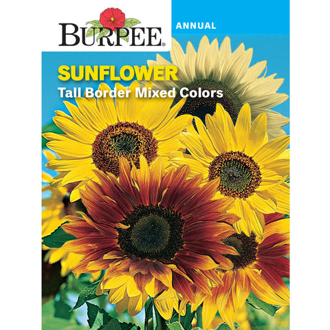 store sunflower seeds for planting Burpee Tall Border Sunflower Seed Pack 35090 – Good's Store Online