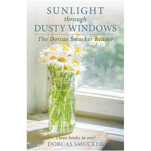 Sunlight Through Dusty Windows 9781680993073