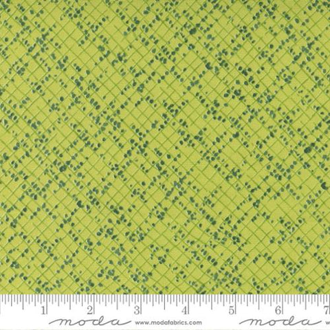 Wild Blossoms Collection Blotted Graph Paper Cotton Fabric 48737 sunlit
