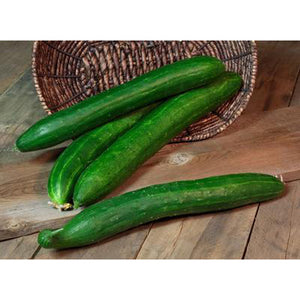 Tasty Green hybrid cucumbers