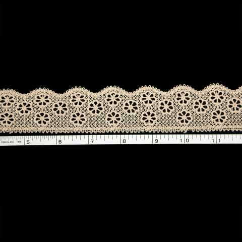 Taupe lace