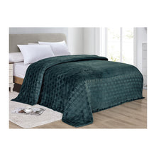 Amrani Microplush Blanket teal