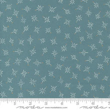 Longshore Collection Compass Cotton Fabric 24614 teal