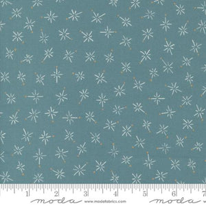 Longshore Collection Compass Cotton Fabric 24614 teal