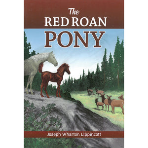 The Red Roan Pony 9781597653169