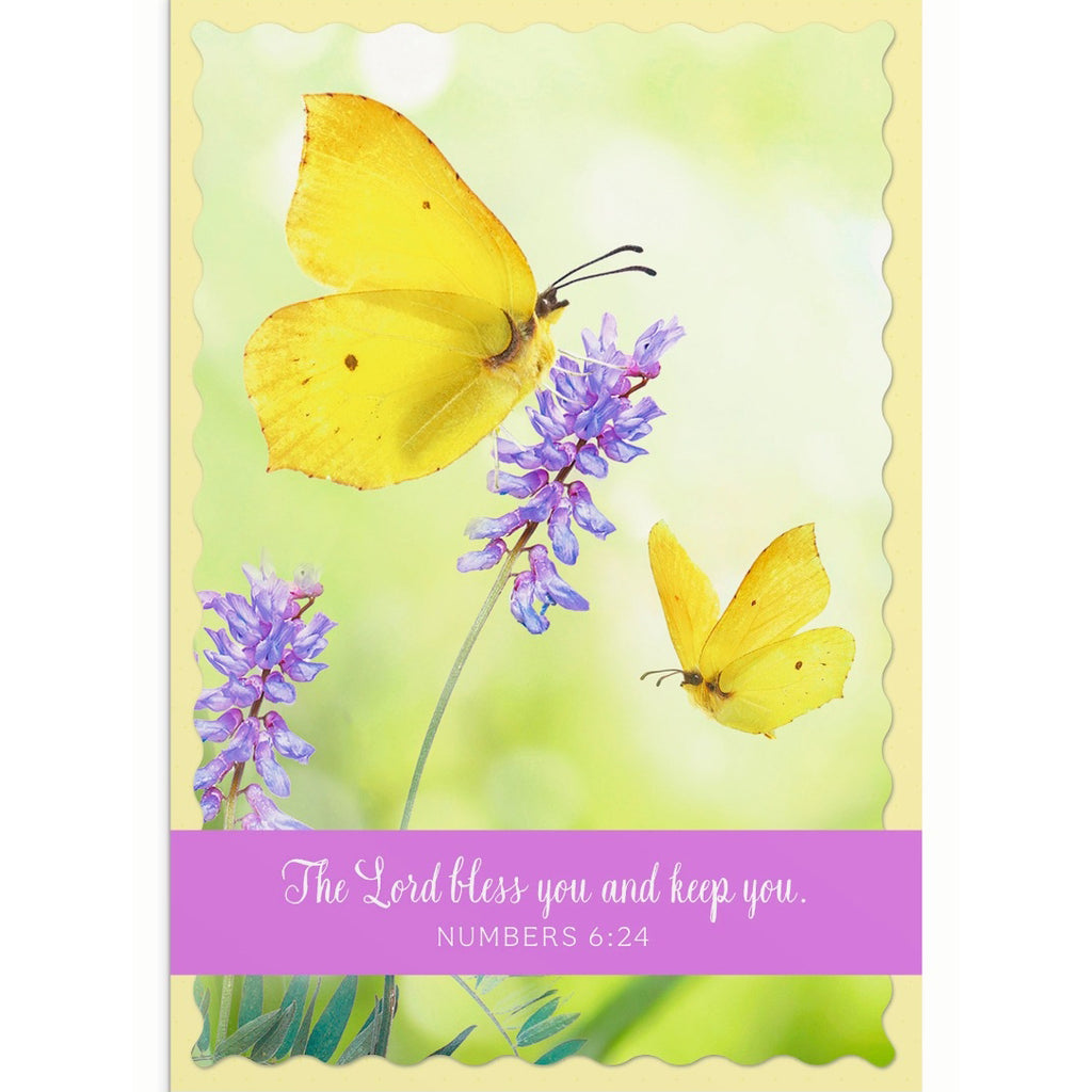 Dayspring boxed cards anniversary butterflies u0063 good s store online