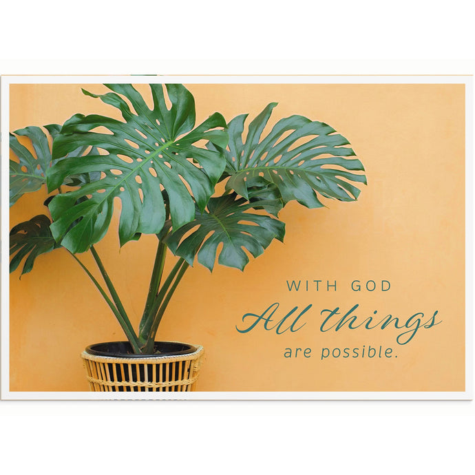 Simple Plants Encouragement Boxed Cards U0064