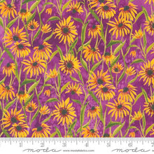 Floribunda Collection Blackeyed Suzie Q Cotton Fabric 39805 violet background