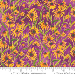 Floribunda Collection Blackeyed Suzie Q Cotton Fabric 39805 violet background