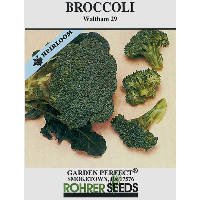 Broccoli seed packet