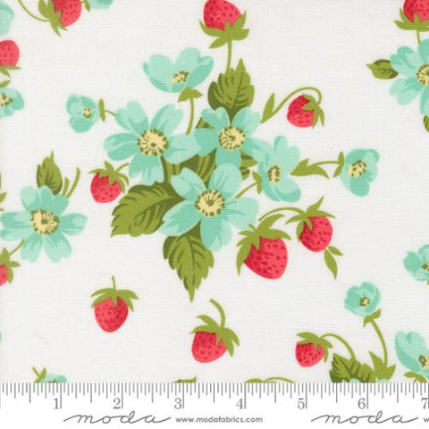 white, Bloomsberry Collection In Bloom Cotton Fabric 5535