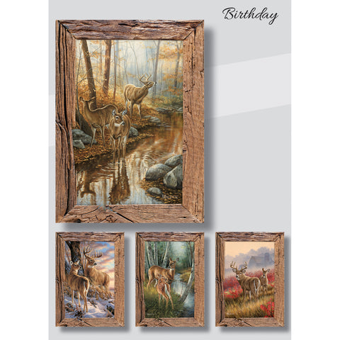 Whitetail Deer Birthday Cards