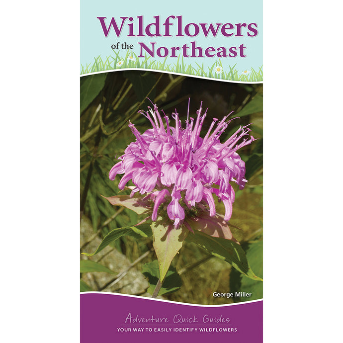 Wildflowers of the Northeast 9781591939443