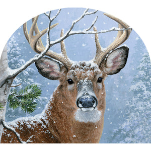 Fall and Winter Arbor Mates winter whitetail