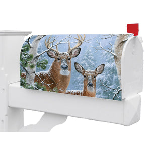 Fall and Winter Mailbox Makeovers winter whitetail