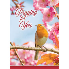 Front of Card 1: Praying for You, bird perched on branch with pink flowers in background
