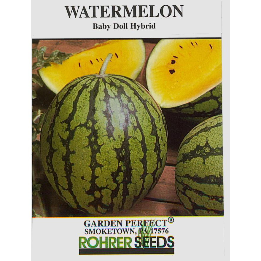 Yellow Baby Doll Watermelon seed pack