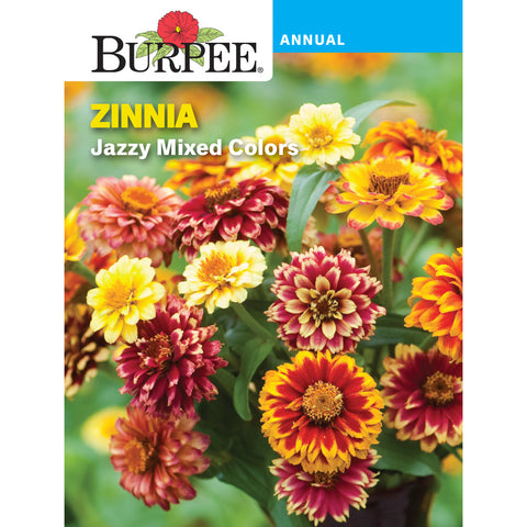 Zinnia flower seed pack