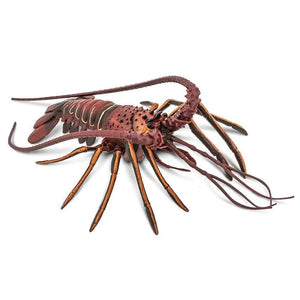 Spiny Lobster 100076