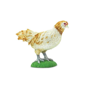 Ameraucana Chicken 100090