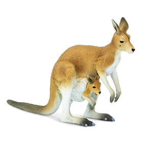 Kangaroo with Joey 100108