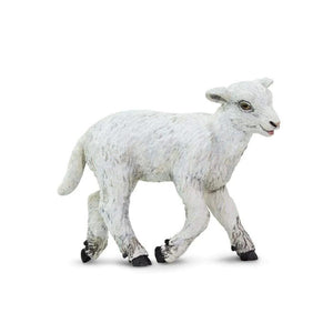 Lamb 100137