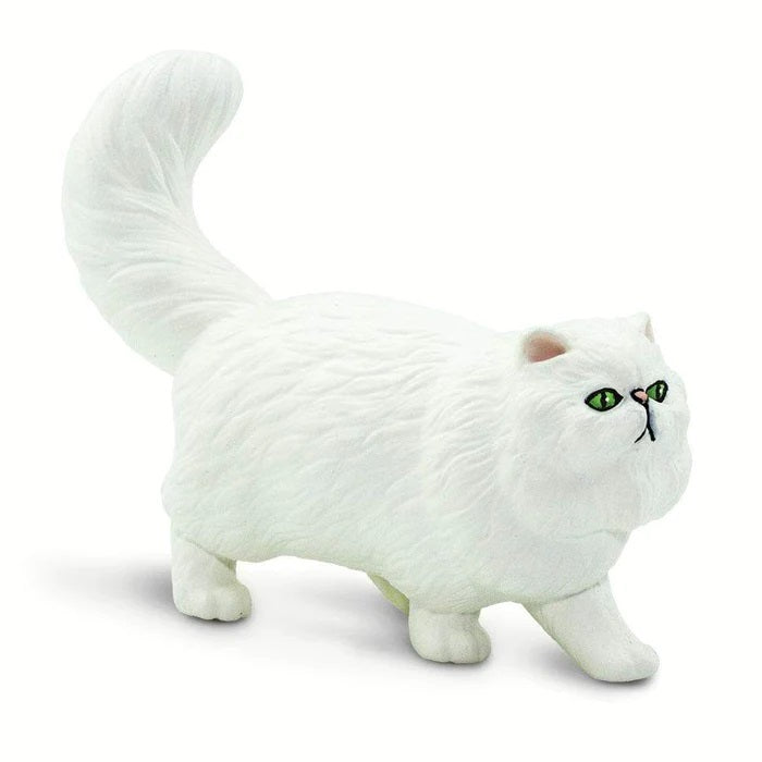 Persian Cat 100203