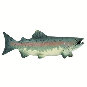 Salmon 100205