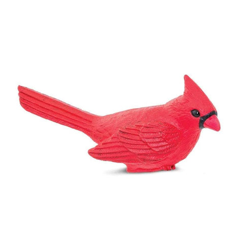 Cardinal 100215