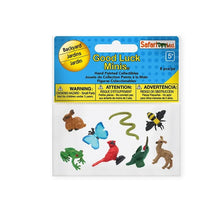 Backyard Minis Fun Pack 100223